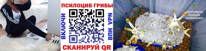 ОМГ ОМГ ONION  Похвистнево  Галлюциногенные грибы прущие грибы  сайты даркнета наркотические препараты  магазин продажи наркотиков 